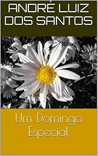 Livro Um Domingo Especial