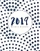 Weekly Planner 2019: Dotted Cover 12 Months Plan Notebook | January - December Daily & Weekly Organi by Brickshub Publishing