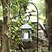 2 Pack Shepherd Hook 92 in Tall 3/5in Thick Hummingbird Bird Feeder Pole Premium Garden Hanging Plants Basket Hanger Pathway Light Solar Lantern Mason Jar Wind Chimes Wedding Metal Rust Resistantthumb 3