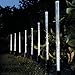 Whitelotous 8 Pack Whites Solar Tube Lights Solar Acrylic Bubble Pathway Decoration Garden Stick Stake Light Set