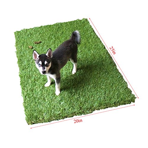 GOLDEN MOON Pet Grass Mat Series PE Artificial Turf Antibacterial Puppy Cat Trainer Indoor Outdoor Replacement Potty Patch, 20"x25"