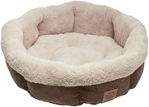 cute puppy labrador pictures