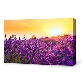 Canvas Wall Art for Living Room,Bedroom Home Artwork Paintings Romantic Lavender Ready to Hang - 12x18 inches