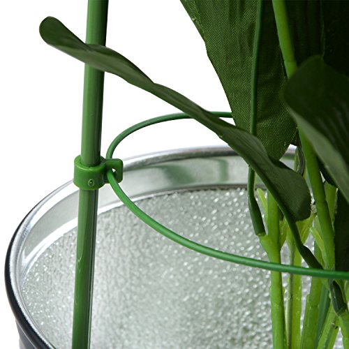 Mini Trellis , Garden Plant Supports Rings Trellis Garden Trellis for Potted Climbing Plants Support for DIY Garden Plant Pot with 3 Rings by UHBGT