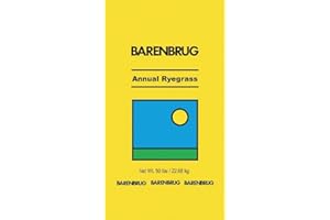 BARENBRUG USA 491087 50 lb Ann Ryegrass Seed