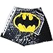 Batman City Logo Boxer Shorts, Medium  ~ Kryptonite 