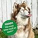 Fooey! Ultra Bitter No Chew Spray for Dogs, Cats, Horses, Rabbits, Ferrets, Birds - Anti-Chew Bitter Spray for Dogs Stop Chewing Furniture - Dog Deterrent Spray Training Aid Safe for Pets - 8 fl oz