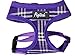 PUPTECK Soft Mesh Dog Harness and Leash Set Pet Puppy Cat Comfort Padded Vest No Pull Harnesses, Deep Purple, S