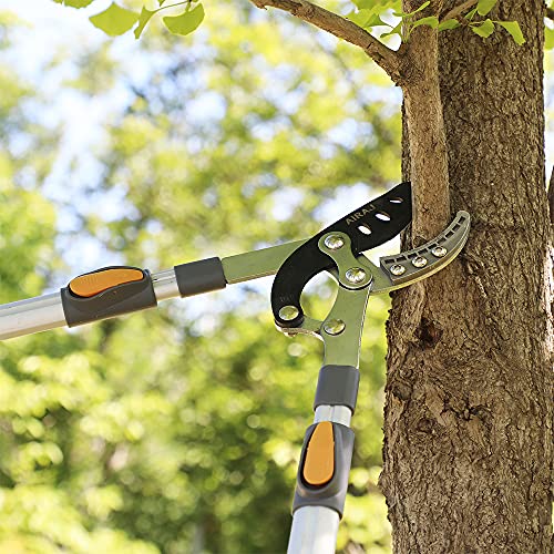 AIRAJ 27-41" Anvil Loppers for Tree Trimming Heavy Duty, Tree Branch Cutter photo 12