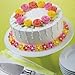 Wilton 2104-2546 53 Piece Supreme Cake Decorating Set