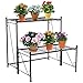 DOEWORKS 2 Tier Metal Plant Stand Storage Rack Shelf, Flower Pot Holder Display Shelf, Black primary