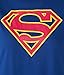 DC Comics Plus Size Womens T-Shirt Supergirl Logo Belt Costume Print (Blue, 3X)