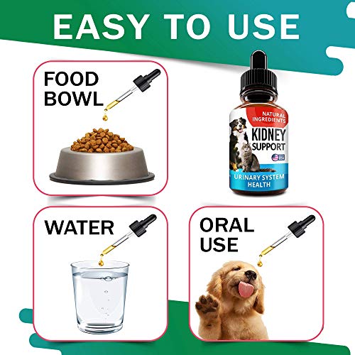 hewbo-UTI-Treatment-for-Cats-and-Dogs-Kidney-Support-for-Pets-Bladder-Urinary-Support-Cranberry-Echinacea-Pumpkin-Feline-Renal-Support-Supplemen-2oz-Made-in-USA
