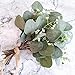 Supla 10 Pcs Artificial Seeded Eucalyptus Leaves Stems Bulk Artificial Silver Dollar Eucalyptus Leaves Plant in Grey Green 11.8