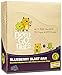 Don't Go Nuts Snack Bars - Blueberry Blast - 1.58 OZ - 12 ct