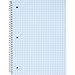 1InTheOffice Graph Ruled Spiral Notebook, Quad Ruled Notebook Spiral, 100 Sheets, 8