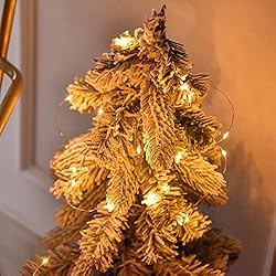 (Warm White ⇋ Multicolor) 66Ft 200LED Fairy