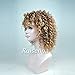 RUISENNA Afro Curly Hair Wigs Brown Blonde Mixed Wig for balck Women 100% Heat Resistant Fiber Synthetic Wigs