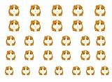 High Quality Nail Art For Every Occasion! Guinea Pig