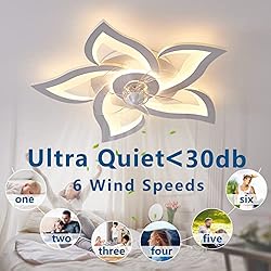 Dalouguan Flush Mount Ceiling Fan with