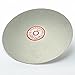 uxcell 200mm 8-inch Grit 240 Diamond Coated Flat Lap Disk Wheel Grinding Sanding Disc