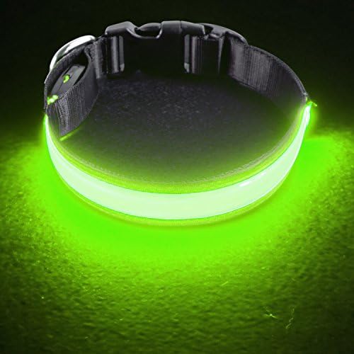 LED Dog Collar - USB Rechargeable with Water Resistant Flashing Light - Available in 3 Colors &amp; 3 Sizes - Fashion Light up Collar Makes Your Dog Visible, Safe &amp; Seen - Green, Small(12 – 16”)