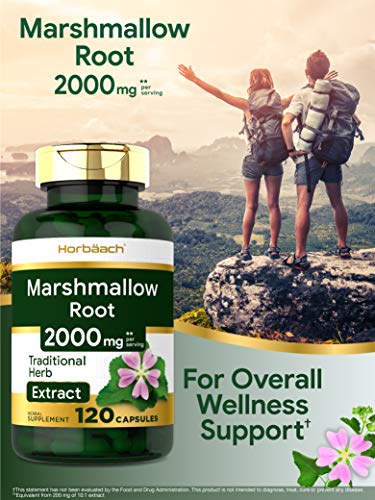 2 Marshmallow+Capsules+Non+GMO+Traditional+Horbaach