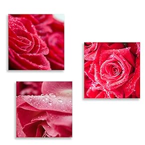3 Panel Romantic Rose Pictures Home Wall for...