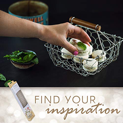 3 Darice+6614+100+Galvanized+Chicken+Craftwork