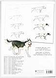 Image de Dibujo y pinto perros / I Draw and Paint Dogs (Dibujo Y Pinto / Draw and Paint) (Spanish Edition)
