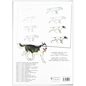 Dibujo y pinto perros / I Draw and Paint Dogs (Dibujo Y Pinto / Draw and Paint) (Spanish Edition)