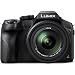 Panasonic Lumix FZ300 4K Point and Shoot Digital Camera with 24x Leica DC Vario-Elmarit 25-600mm Lens DMC-FZ300K Bundle with Deco Gear Bag Case + Filter Kit + Photo Video Software & Accessoriesthumb 3