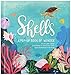 Shells: A Pop-Up Book of Wonder (4 Seasons of Pop-Up)