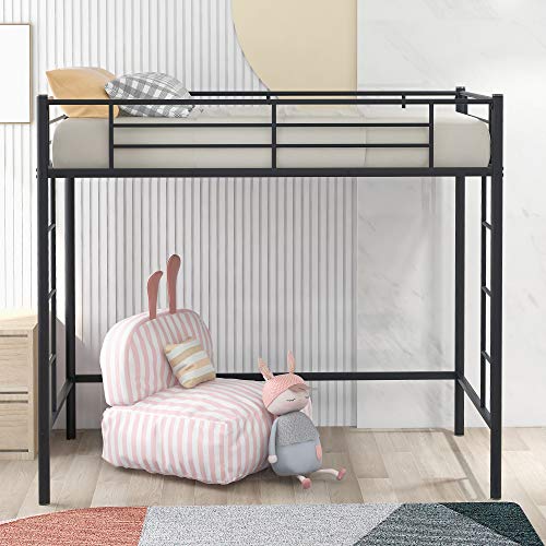 Twin Loft Bed Frame with 2 Ladders, High Metal Loft Bed for Kids, 220