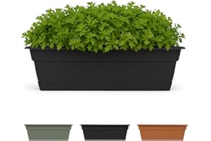 Bloem Living DCBT18-00 Dura Cotta Plant Window Box, 18-Inch, Black