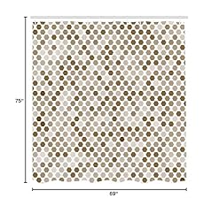 Ambesonne Geometric Shower Curtain, Abstract Zig
