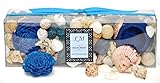 L&M Naturals Beachfront Potpourri - Beautiful 8.5oz box filled with natural beach themed botanicals, shells and a coastal scent that is fresh, complex, and clean.