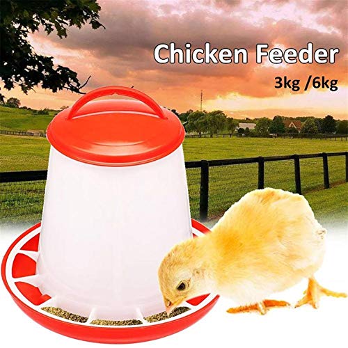 KTZAJO Geflügel, Hühnerfutter, Vögel, Trinkgefäße, Diät-Werkzeug, Trinktöpfe, Tauben-Futterhaus, Tierbedarf, Hühner… – Bild 3