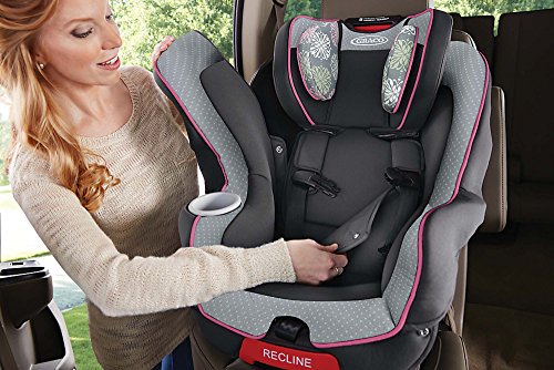 donkey stroller twin