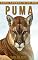 Livro Puma: Fotos Incríveis e Factos Divertidos sobre Puma para Crianças (Série Lembra-Te De Mim)
