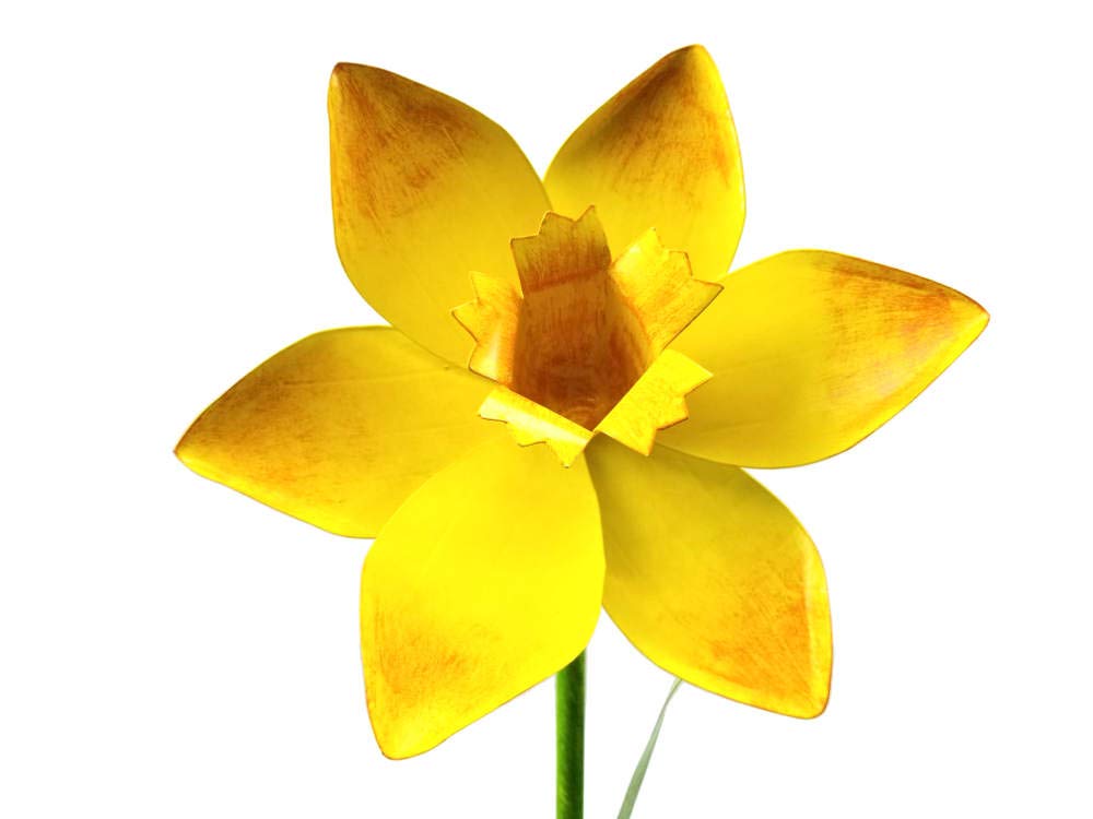 BWA Large Daffodil Flower - Freestanding Metal Garden Stake/Pole