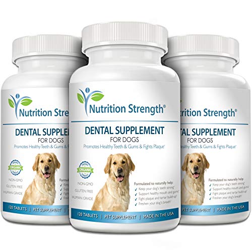 vitamins for dogs teeth