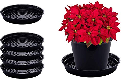 Curtis Wagner Plastics Plant Tray Drip Pan Saucers (5-Pack) – Black, Round (Diameter = 21″ top, 19.25″ Bottom, 3.25″ Depth) Thin Plastic for Indoor or Garden – Clear, Black & Terracotta Floor Savers