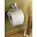 Dreamslink Spot Resist Wall Mounted Toilet Paper Holder Brush Nickel
