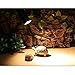 LUCKSTAR Reptile Lamp Holder - 360-degree Rotating Adjustable Habitat Lighting & Heat Clamp Lamp Fixture - UV UVB Infrared Emitter Heat & Light Stand For Tortoise / Lizard / Gecko