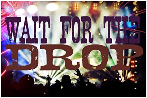 SJC Wait for The Drop EDM Poster Wall Print|Inspirational Motivational Classroom Home Office Dorm|18 X 12 in|SJC118