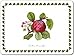 Pimpernel Pomona Placemats - Set of 4 (Large)