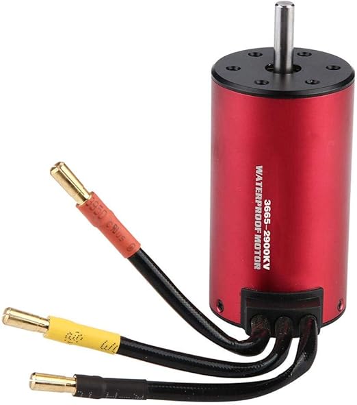 3665 brushless motor