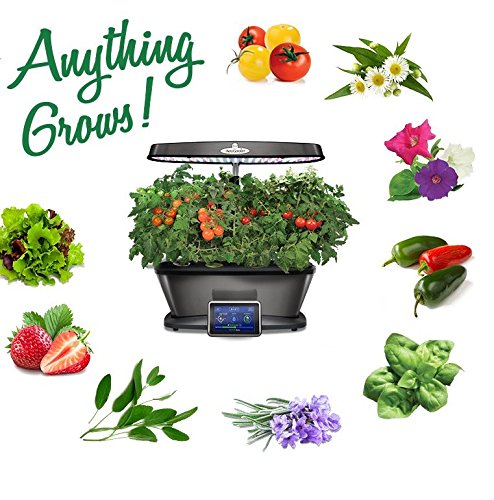 grows anything indoors