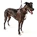 Logical Leather Adjustable Dog Harness - Heavy Duty Quick Release Genuine Leather Harness - Brown